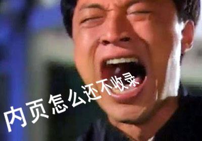 为什么新站只收录首页不收录内页